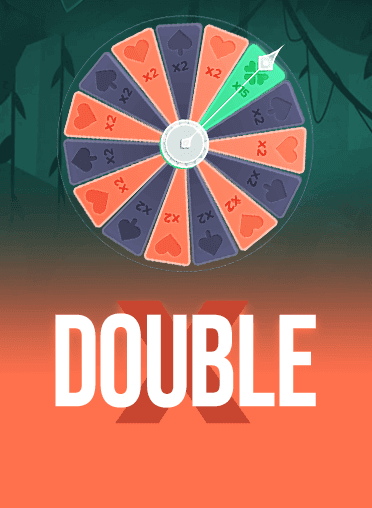 DoubleX